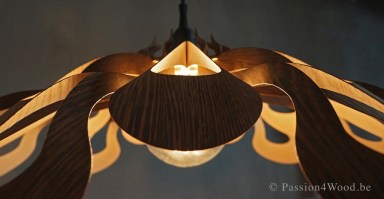 Passion4Wood - Ipaki lamp _65